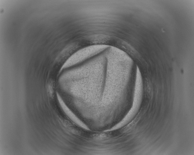 X0000072530074200608041607