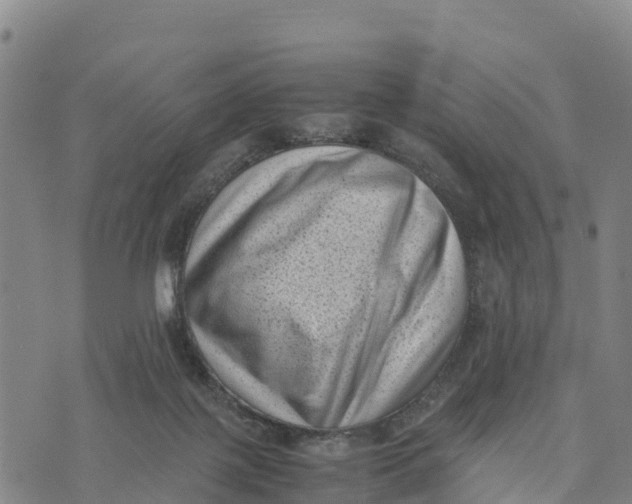 X0000072530075200608041608