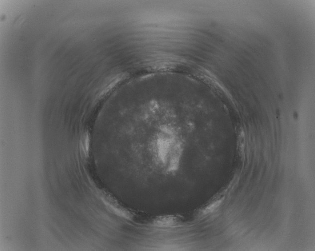 X0000072530076200608041608