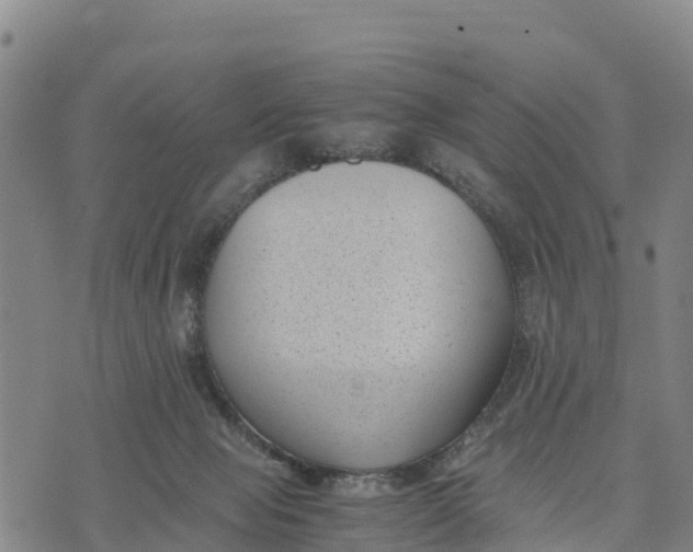 X0000072530077200608041608