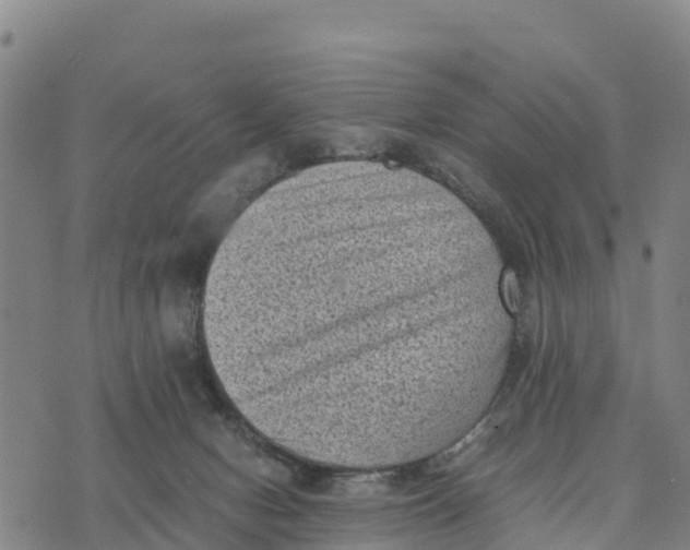 X0000072530078200608041608