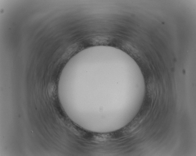 X0000072530079200608041608