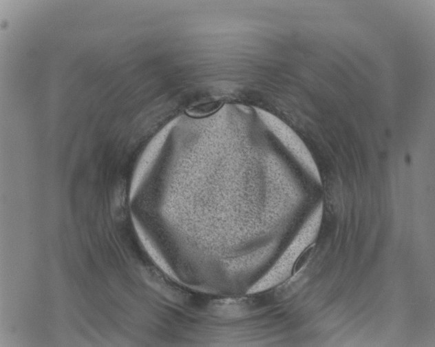 X0000072530082200608041608