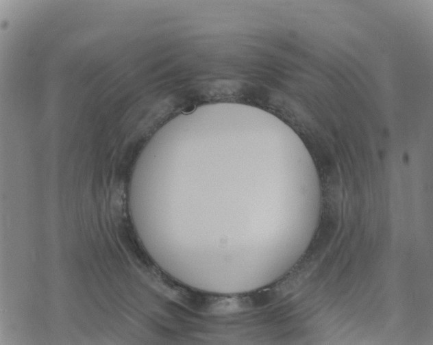 X0000072530083200608041608