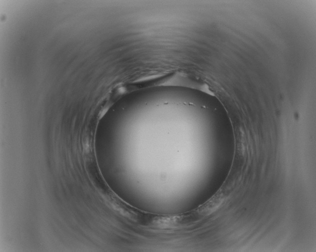 X0000072530084200608041608