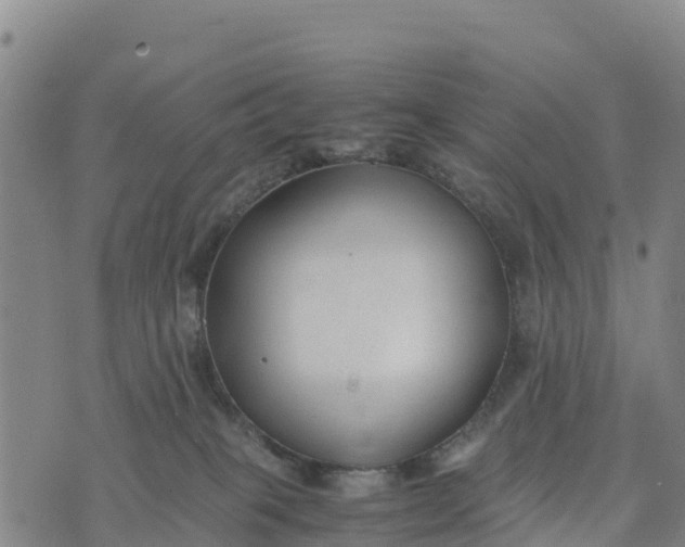 X0000072530085200608041608