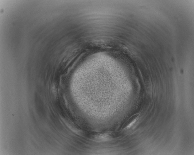 X0000072530086200608041608