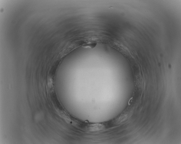 X0000072530087200608041608