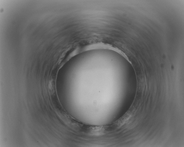 X0000072530088200608041608