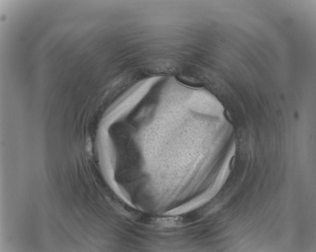 X0000072530089200608041608