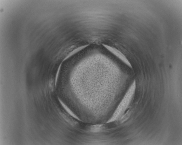 X0000072530090200608041608