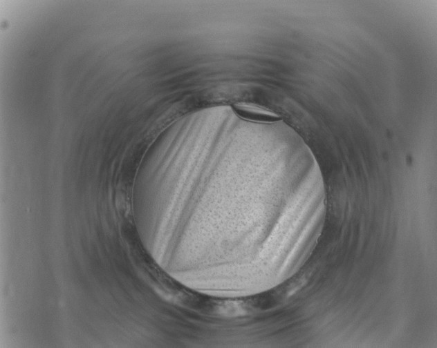 X0000072530091200608041608