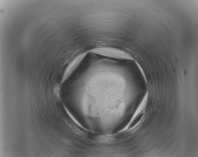 X0000072530094200608041608