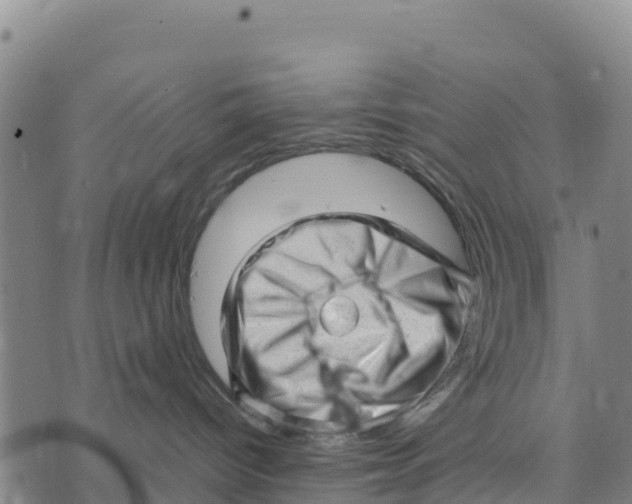 X0000072530096200608041608