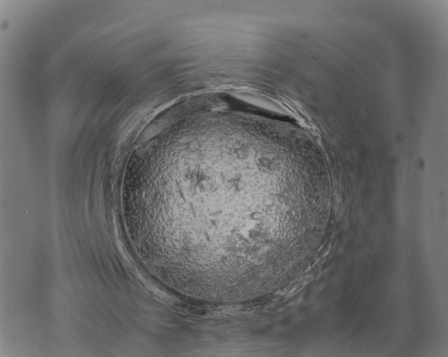 X0000072530097200608041607