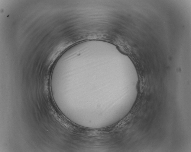 X0000072530098200608041607