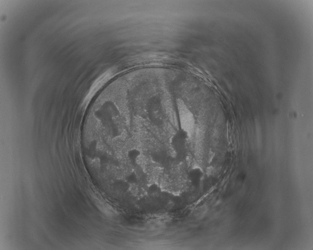 X0000072530099200608041607