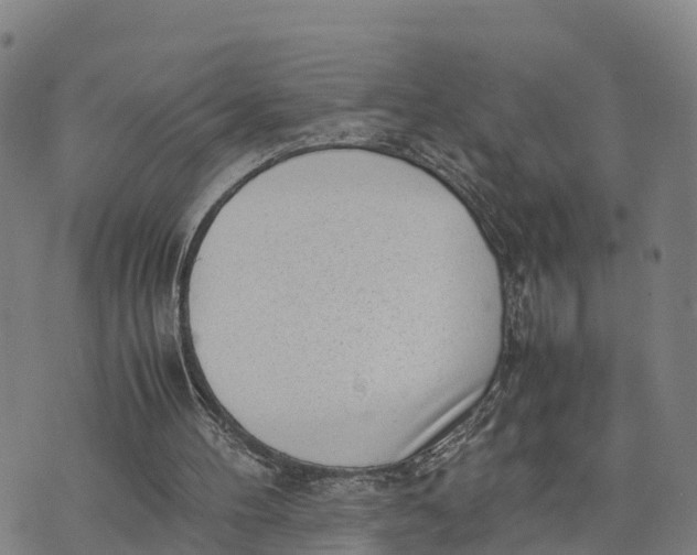 X0000072530100200608041607