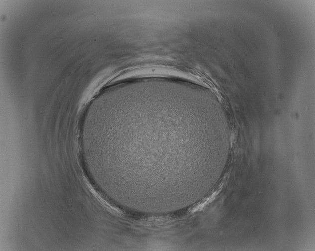 X0000072530101200608041607