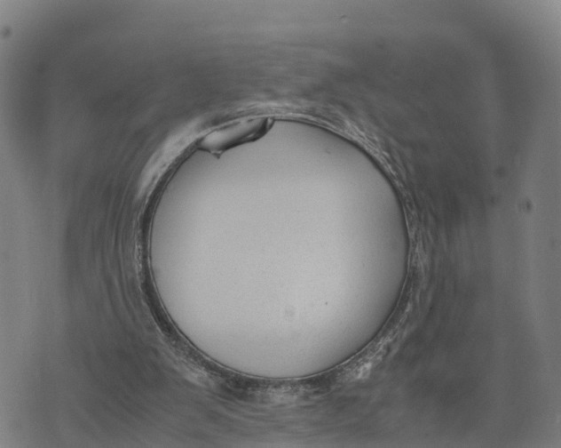 X0000072530103200608041607