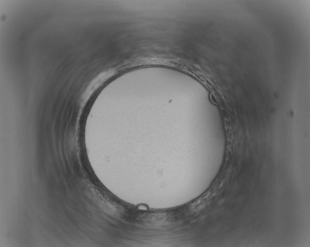 X0000072530104200608041607