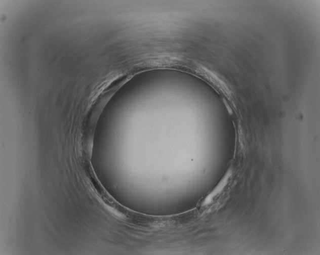 X0000072530105200608041607