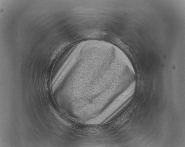 X0000072530106200608041607