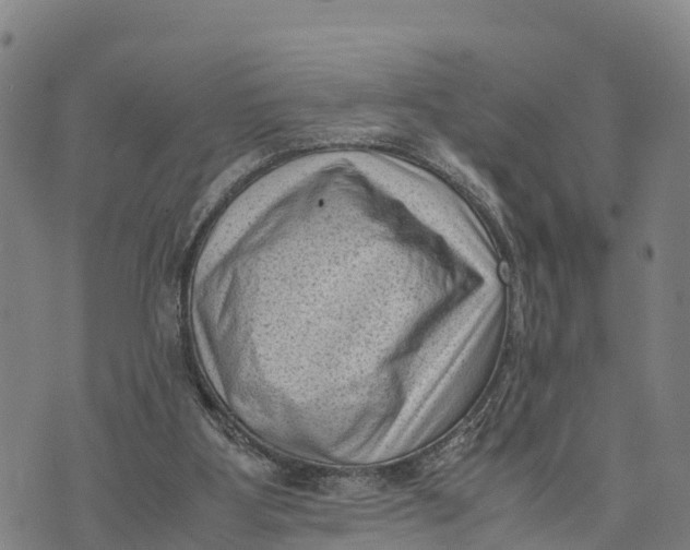 X0000072530107200608041607