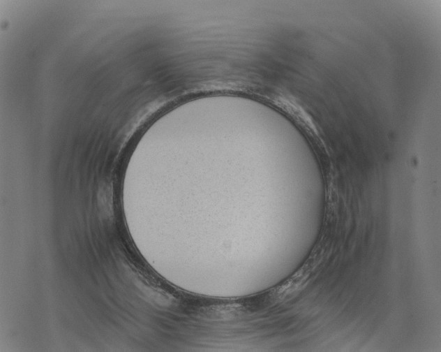 X0000072530108200608041607