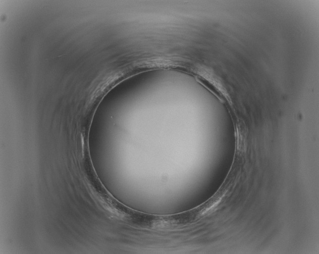 X0000072530109200608041607