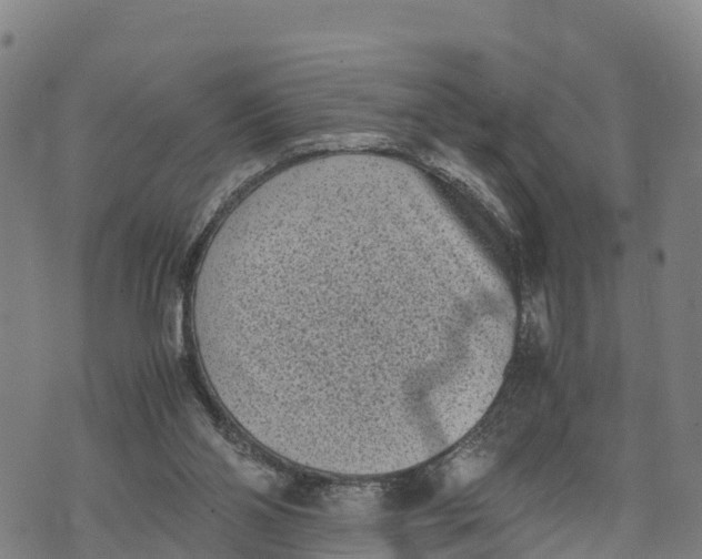 X0000072530110200608041607