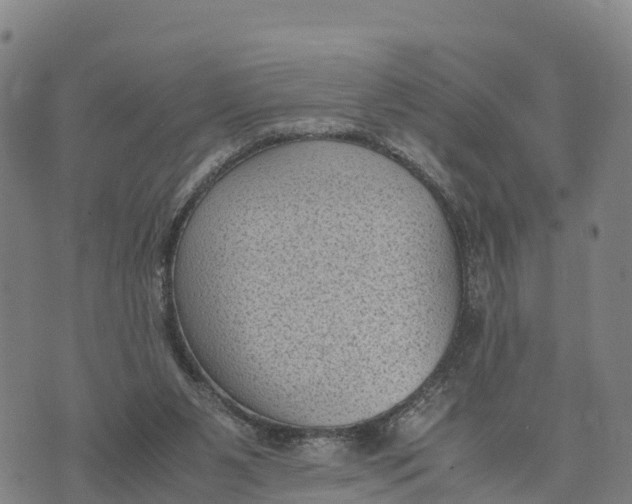 X0000072530111200608041607