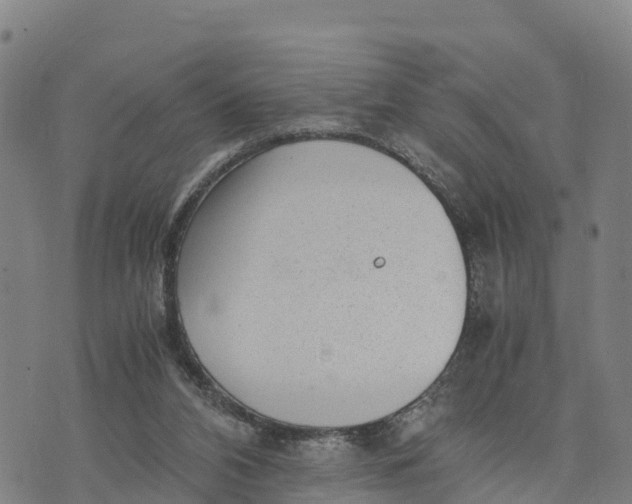 X0000072530112200608041607