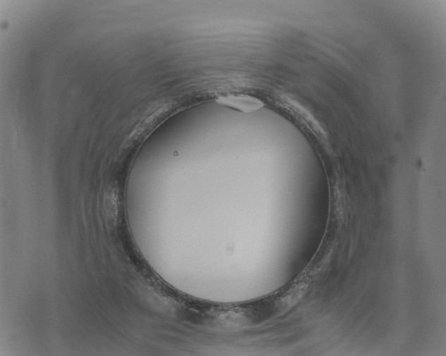 X0000072530113200608041607