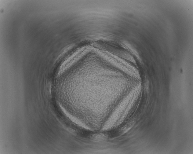 X0000072530115200608041607