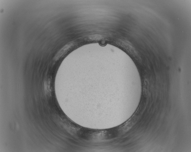 X0000072530116200608041607