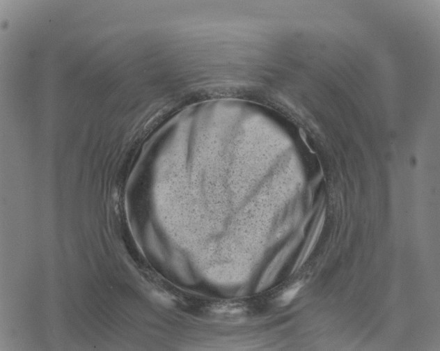 X0000072530117200608041607