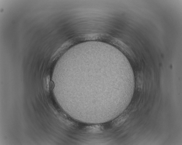 X0000072530118200608041607