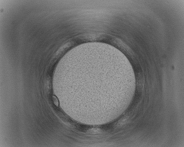 X0000072530119200608041607