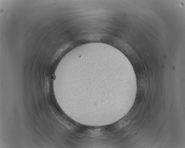 X0000072530120200608041607