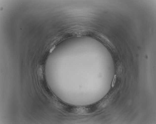 X0000072530121200608041607