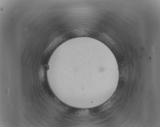 X0000072530124200608041607