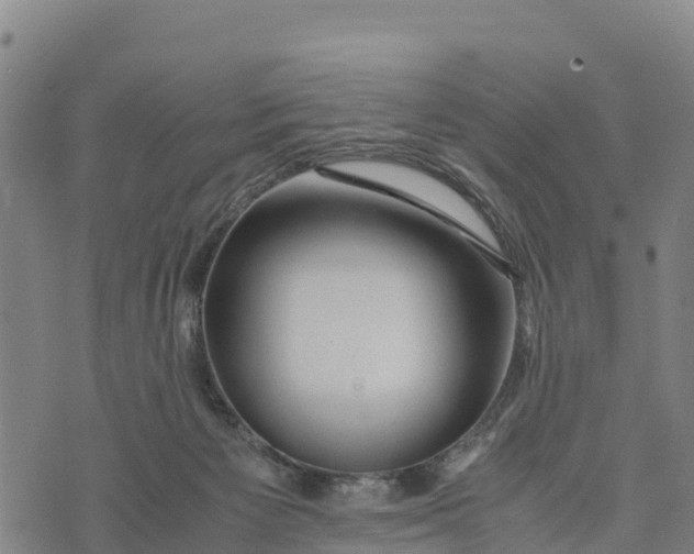 X0000072530125200608041607