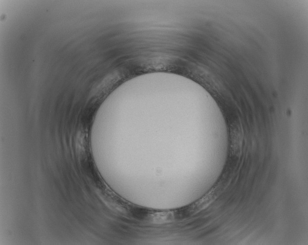 X0000072530126200608041607