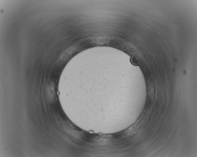 X0000072530128200608041607