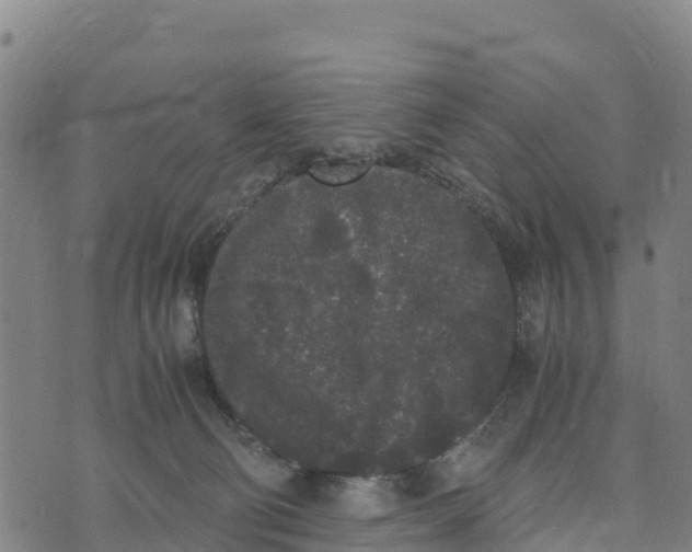 X0000072530130200608041607