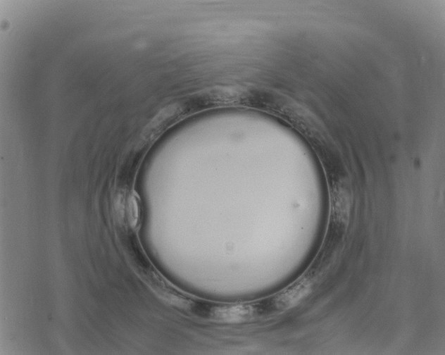 X0000072530131200608041607