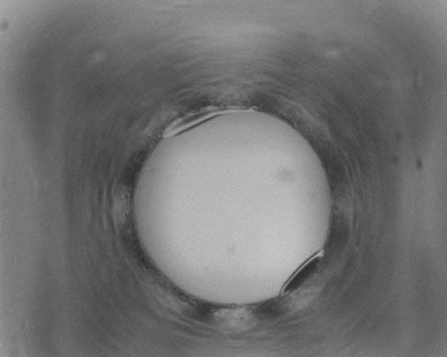 X0000072530133200608041606