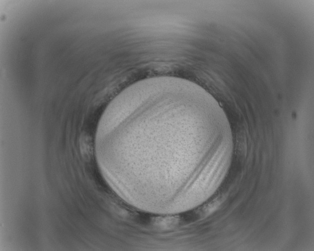 X0000072530135200608041606