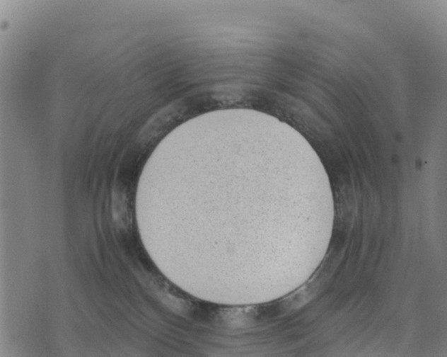 X0000072530136200608041606